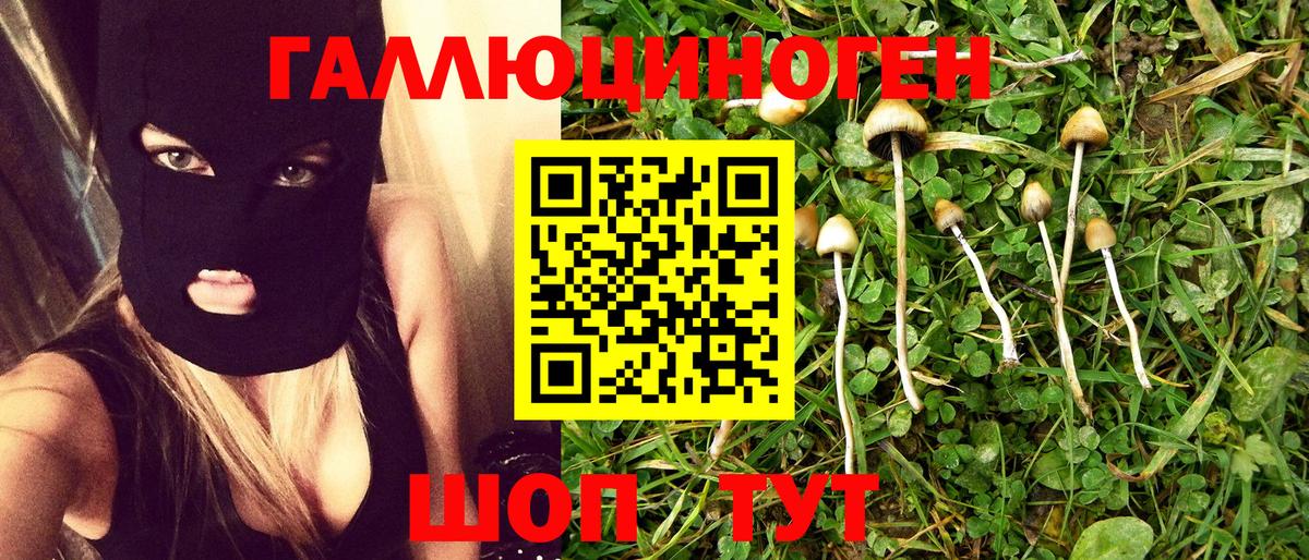 Чапаевск  где купить наркоту  Вход с VPN  Псилоцибиновые грибы Cubensis 