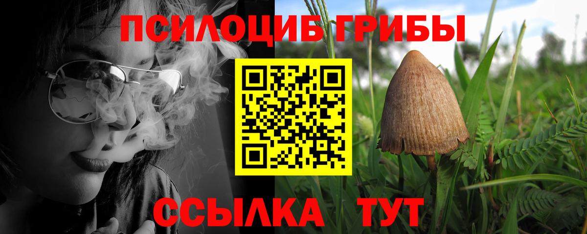Галлюциногенные грибы мицелий Чапаевск